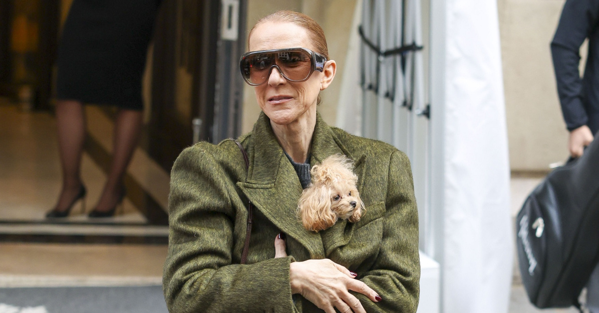 Celine Dion minik köpeğini koynunda taşıdı