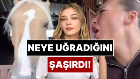 Melisa Döngel Atı Sevmek İstedi, Neye Uğradığını Şaşırdı!